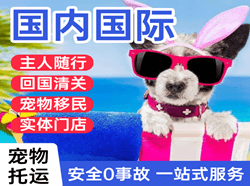 栎社航空快运国际宠物托运 【国
